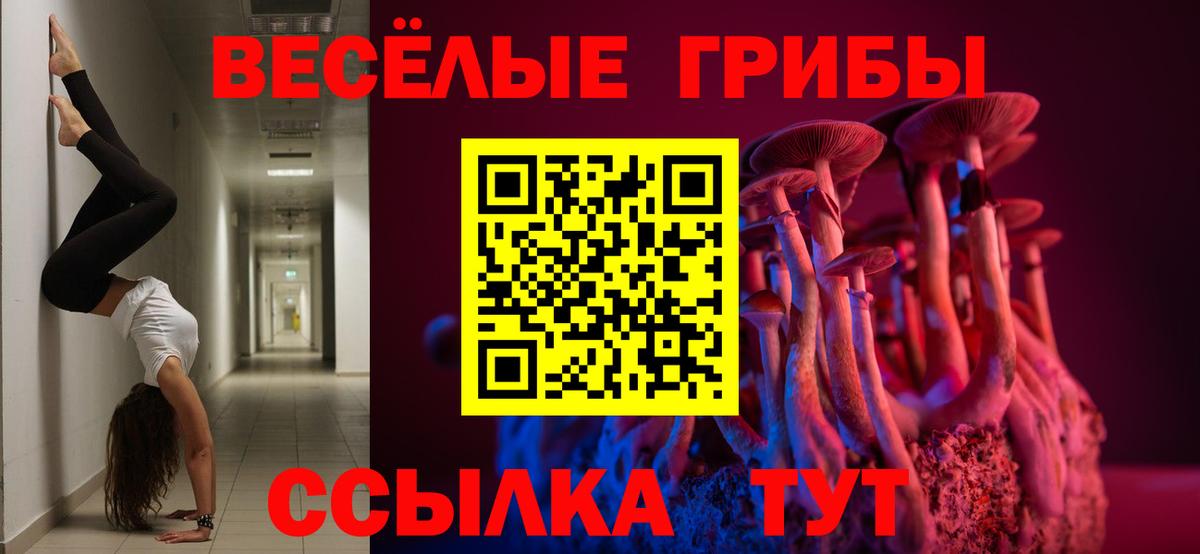 Заводоуковск  Галлюциногенные грибы Magic Shrooms  Псилоцибиновые грибы мухоморы  Вход с VPN 